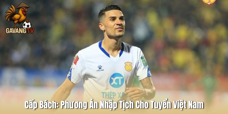 Cấp Bách: Phương Án Nhập Tịch Cho Tuyển Việt Nam