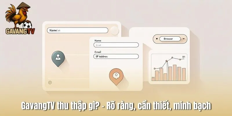 GavangTV thu thập gì? – Rõ ràng, cần thiết, minh bạch