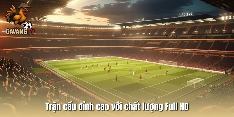 tran-cau-dinh-cao-voi-chat-luong-full-hd