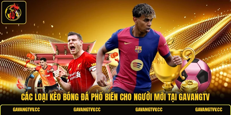 Các Loại Kèo Bóng Đá Phổ Biến Cho Người Mới Tại Gavangtv