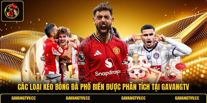 Các loại kèo bóng đá phổ biến được phân tích tại gavangtv