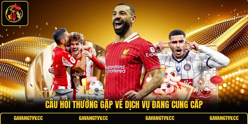 Câu hỏi thường gặp về dịch vụ đang cung cấp