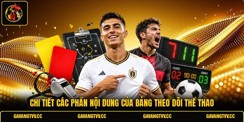 Chi tiết các phần nội dung của bảng theo dõi thể thao 