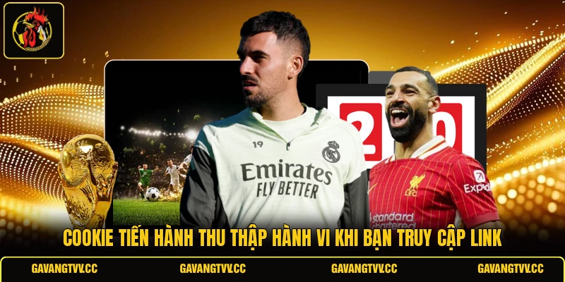 Cookie tiến hành thu thập hành vi khi bạn truy cập link