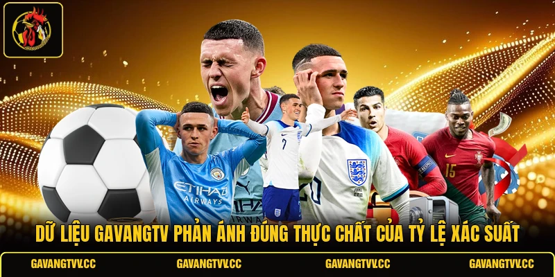 Dữ liệu gavangtv phản ánh đúng thực chất của tỷ lệ xác suất
