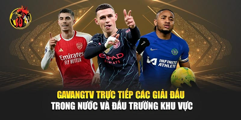 Gavangtv trực tiếp các giải đấu trong nước và đấu trường khu vực