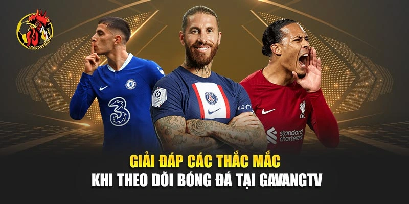 Giải đáp các thắc mắc khi theo dõi bóng đá tại Gavangtv