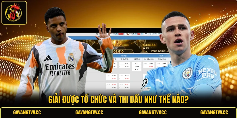 Giải được tổ chức và thi đấu như thế nào?