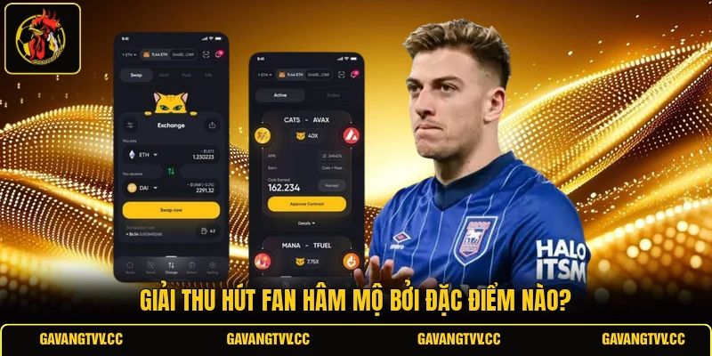 Giải thu hút fan hâm mộ bởi đặc điểm nào?