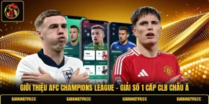 Giới Thiệu AFC Champions League - Giải Số 1 Cấp CLB Châu Á
