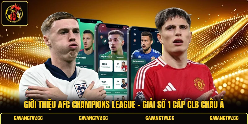 Giới Thiệu AFC Champions League - Giải Số 1 Cấp CLB Châu Á