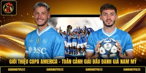 Giới Thiệu Copa America - Toàn Cảnh Giải Đấu Danh Giá Nam Mỹ