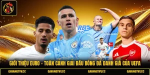 Giới Thiệu Euro - Toàn Cảnh Giải Đấu Bóng Đá Danh Giá UEFA