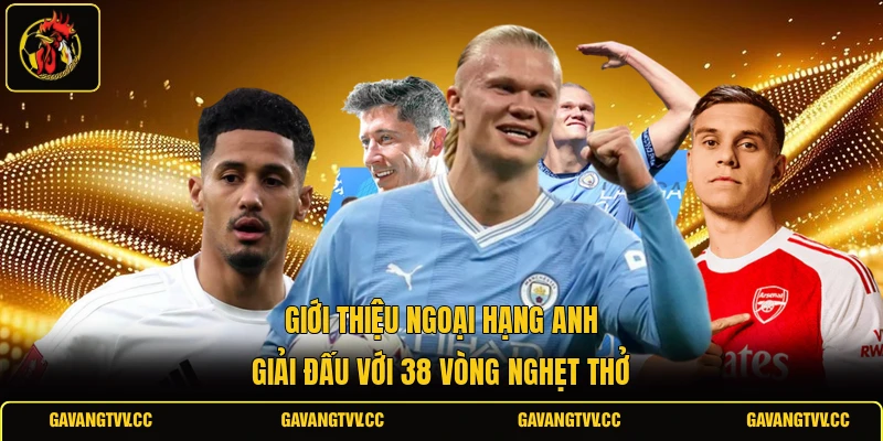 Giới Thiệu Ngoại Hạng Anh | Giải Đấu Với 38 Vòng Nghẹt Thở