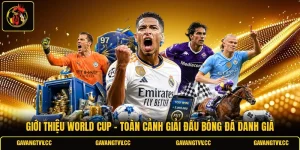 Giới Thiệu World Cup - Toàn Cảnh Giải Đấu Bóng Đá Danh Giá