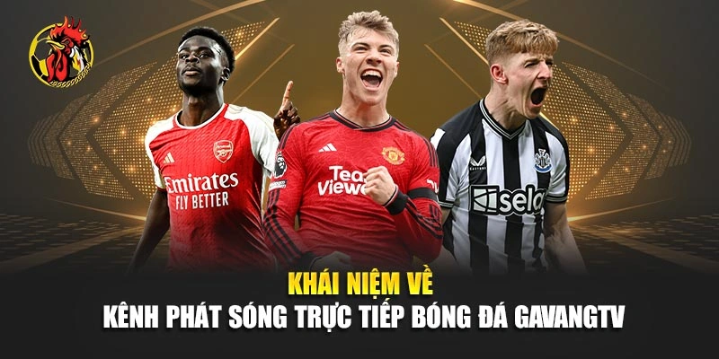 Khái niệm về kênh phát sóng trực tiếp bóng đá Gavangtv