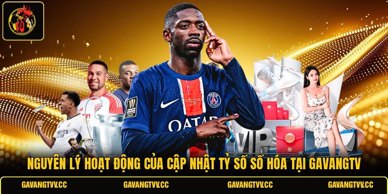 Nguyên lý hoạt động của cập nhật tỷ số số hóa tại gavangtv