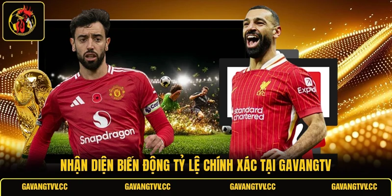 Nhận diện biến động tỷ lệ chính xác tại GAVANGTV