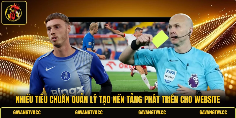 Nhiều tiêu chuẩn quản lý tạo nền tảng phát triển cho website