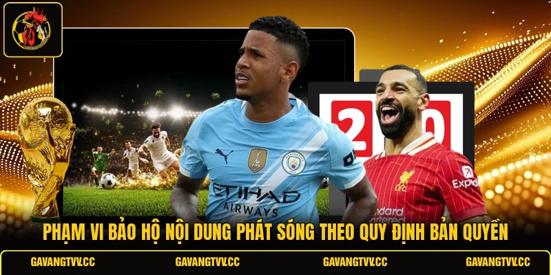 Phạm vi bảo hộ nội dung phát sóng theo quy định bản quyền