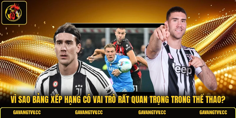 Vì sao bảng xếp hạng có vai trò rất quan trọng trong thể thao?